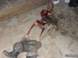 Аааааааа... Это брат который не любил кошек?)))))