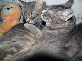 Серёжа и Рюша