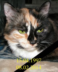 Цветнушки, они все королевских кровей. Особая каста, не похожие на своих собратьев и сосестёр. Они входят в твою жизнь, будто всегда в ней и были. И уходя оставляют на сердце рваную рану...