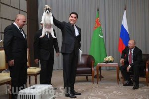 Сразу видно, кто из двух президентов - хороший человек. Стоит только посмотреть, как они держат щенка..