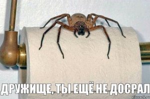 Чем кормят пациентов белорусских больниц