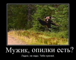 ...стоит будка экотуалета, где ничем не пахнет - посетители используют опилки