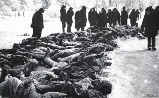 Вот настоящие печальные фото.