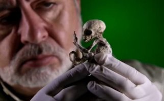 Существо было маленьким   длиной около 70 см с удлиненной головой - может все таки 7см?