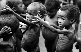 Если подумать, то медведь пришел на свалку для поиска еды, в последнее время меньше стало способов найти пропитание, кроме, как на помойке, медведи к этому способу очень быстро приспособились и обленились. И что в этом плохого, лучше чтобы они с голоду подыхали? А фотограф лучше бы о людях подумал