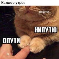 Пятничная упаковка пива