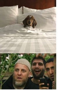 Фотоподборка за 12.10.2017