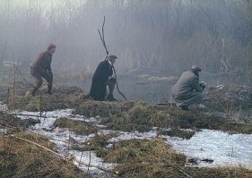 Эстония. Отпуск на болотах