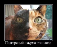 22-летняя художница из Норвегии гордится миллионом своих родинок