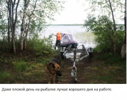 Карусели и пр. городские развлечения, это неплохо. Но мне еще с детства загородный отдых больше нравится.