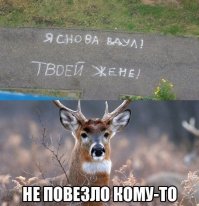Напрягся весь подъезд.