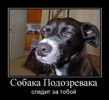 Ну в комментариях к такому посту явно не хватает этого древнего баяна: