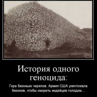 Хрень какая. Побольше фильтров и соплей для известности? Качество фотографий - отстой. Больше говорить здесь не о чем. 

Хочет пожалеть скотинку, пусть смотрит вот на такие грустные снимки