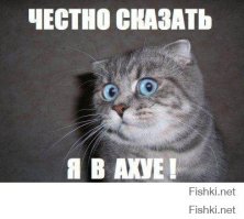 Хороший тамада и конкурсы интересные!