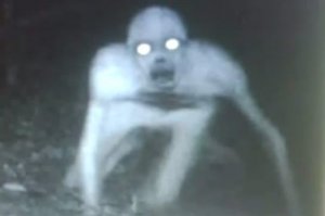 Это же помраченный!