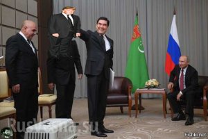 Животные, которых дарили президенту Владимиру Путину