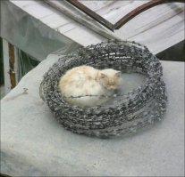 Я вам не доверяю!)