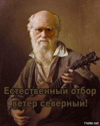 Жалко девку..... но....