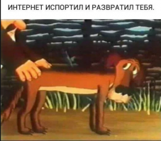 Гифки дня