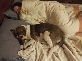 Мой оболтус :)