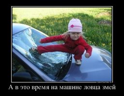 Сладких снов: 7 ядовитых змей спрятались среди игрушек на кровати маленькой девочки