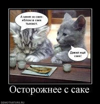 Как делают саке