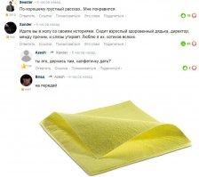 Беременная кошка пришла к людям за помощью