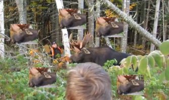 Когда дилер не подвёл и ягель действительно хорош