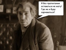 Пес с ними: россиянам запретят кормить бродячих животных