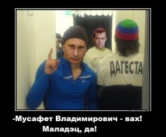 вовины друзья