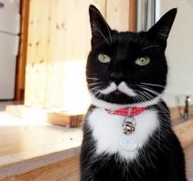 Восхитительно.