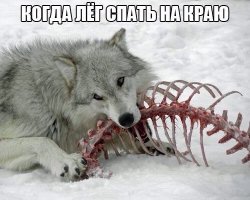 Кусал за бочок, когда это еще не было мейнстримом!