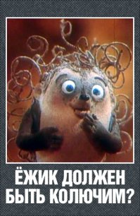 А вы видели лысого ежа? В Шотландии нашли ежика без иголок