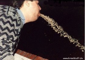 В такие моменты жалеешь о своей грамотности !