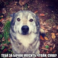 Как укушу больно! Почему люди кусают друг друга?