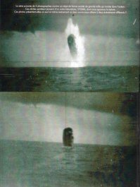 В Антарктиде появилась огромная дыра, и никто не знает причину