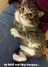 Не торопись с выводами