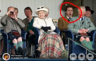 Королевский зевальщик - зевает за королеву