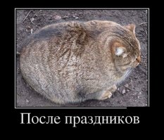 Свежая подборка демотиваторов, которые поднимут вам настроение