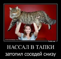 Свежая подборка демотиваторов, которые поднимут вам настроение