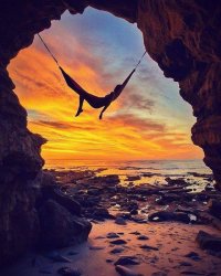 Один вопрос: Как она туда залезла?