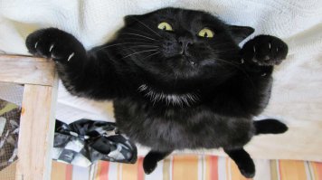 Свежая подборка демотиваторов, которые поднимут вам настроение