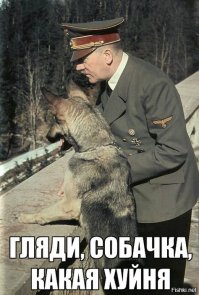 Как сделать чемодан из канистры