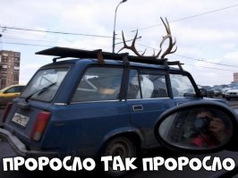 По мне-так тут олень именно фотограф.