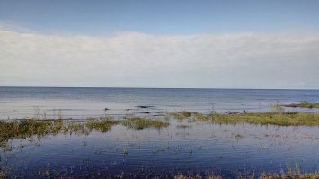 Ладожское озеро.