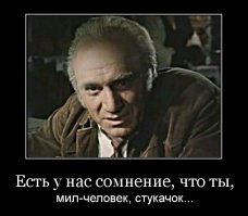 «Народный инспектор»: в Подмосковье можно стучать на нарушителей через смартфон