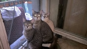 И не только так. У меня несколько поколений. Внучки спят с мамой, а мама с бабушкой.