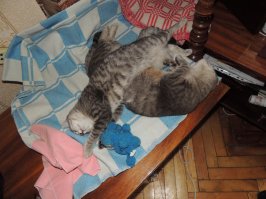 И не только так. У меня несколько поколений. Внучки спят с мамой, а мама с бабушкой.