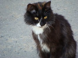 Канкретный пацан!