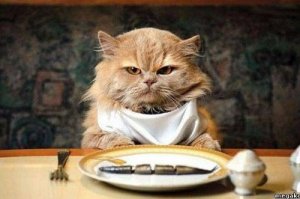 - Хозяин !! что так мало ? .